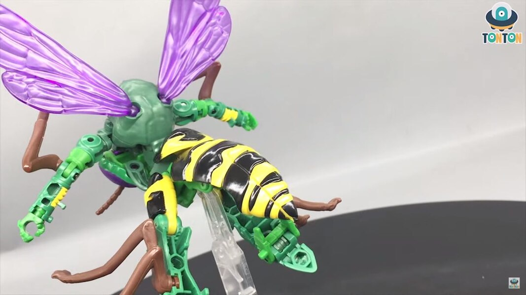 Transformers Kingdom Deluxe Class Waspinator  (24 of 38)